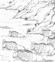 A coloring page of nature in africa